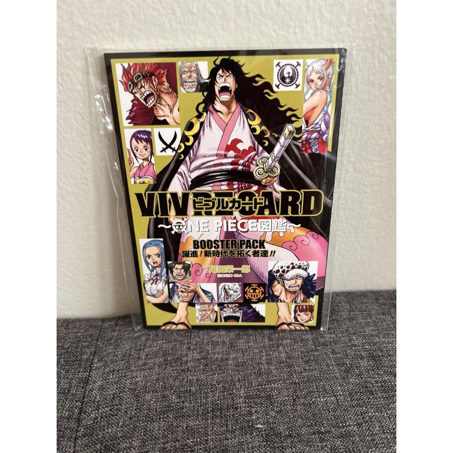 Vivre Card: One Piece Zukan Booster Pack Pictorial Book