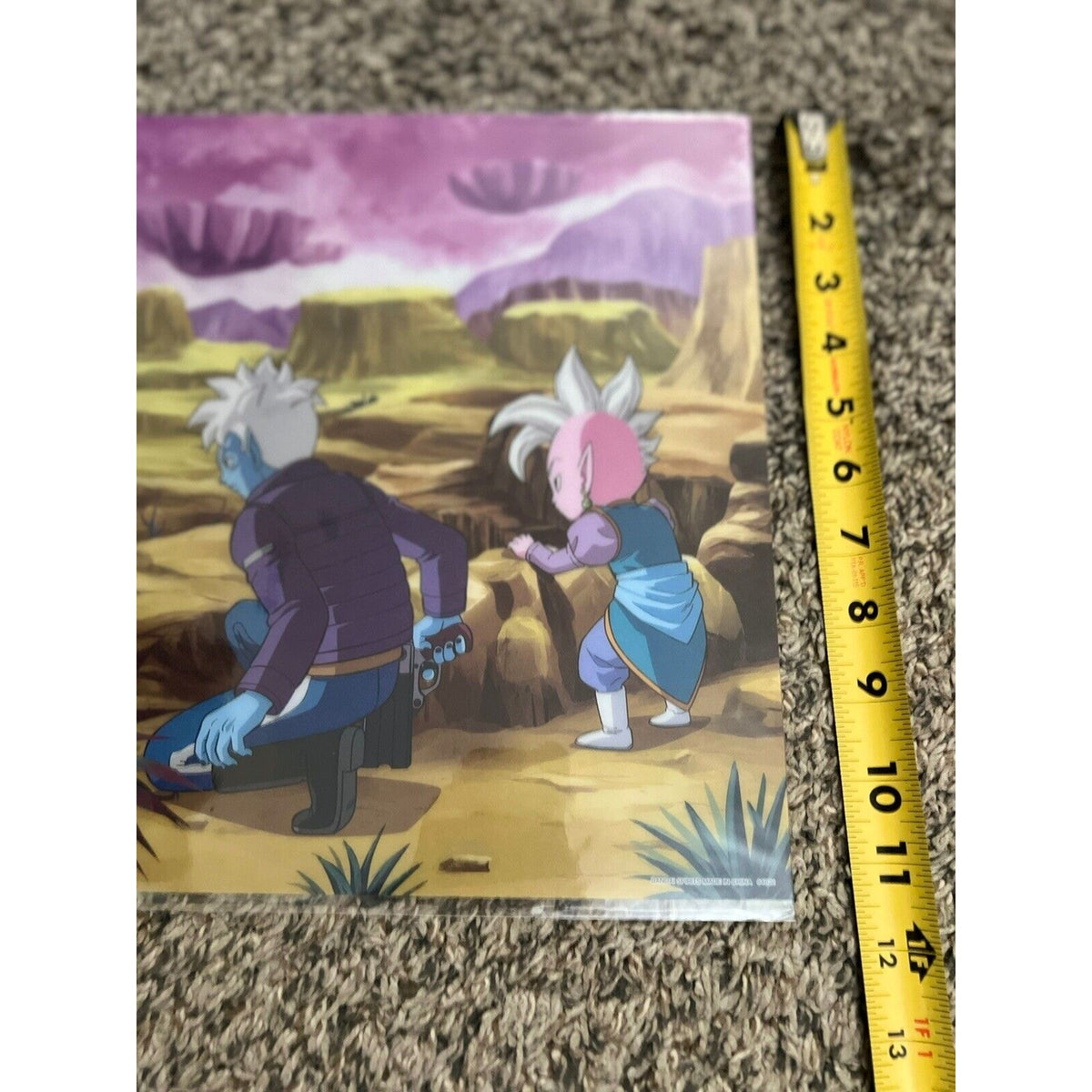 Dragon Ball Z Diama Kid Goku & Kid Shin Ichiban Kuji Clear Poster Bandai 16X11f
