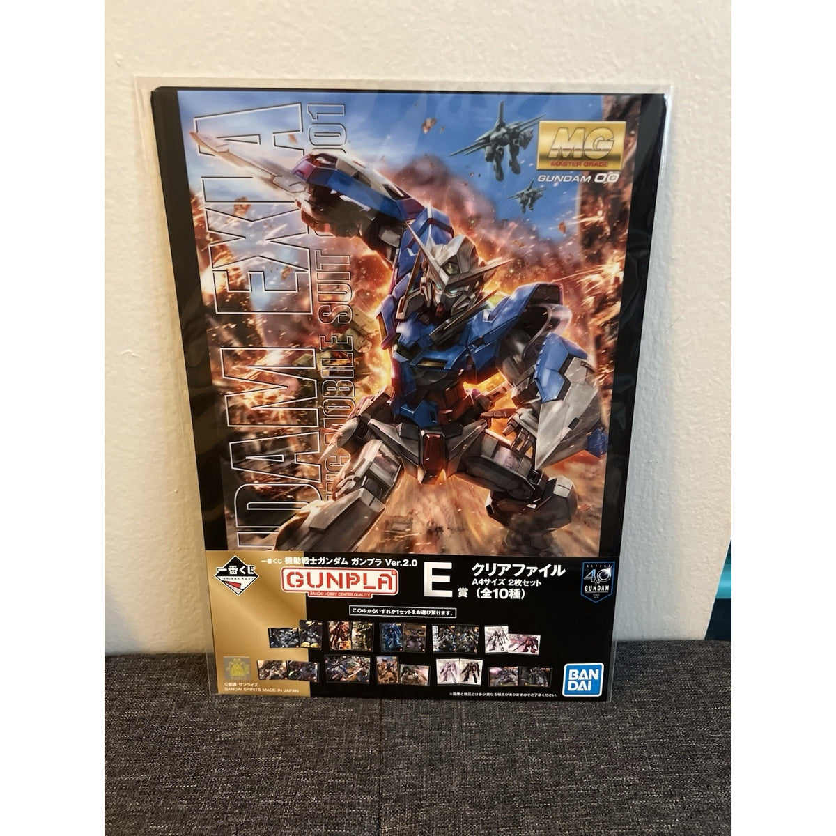 Mobile Suit Gundam Gunpla Ver 2.0 MG Gundam Exia And Gundam Dynames Clear File