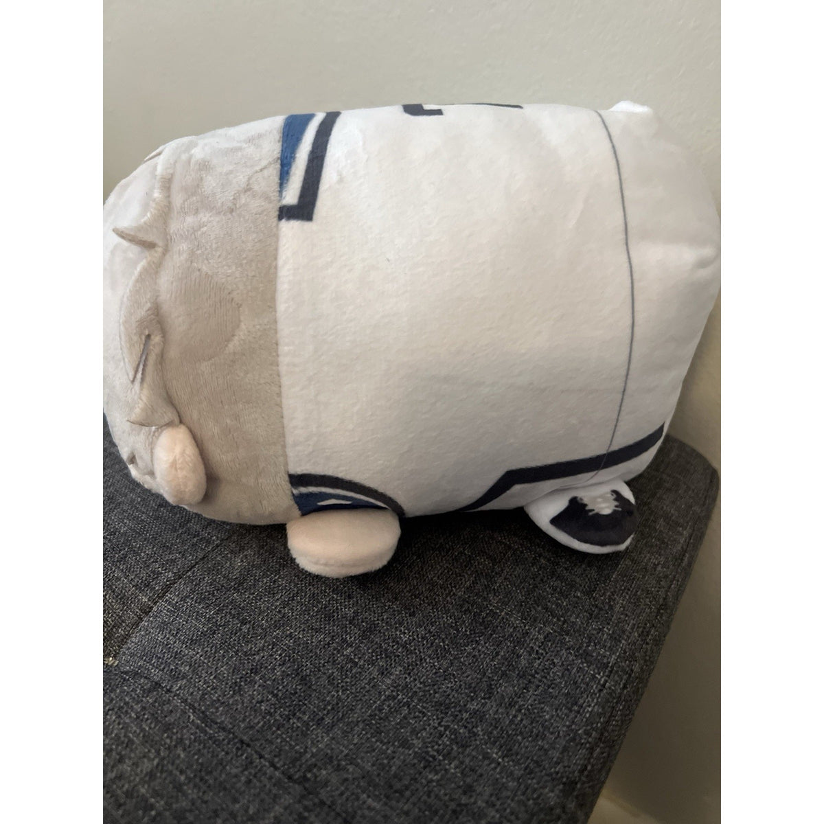 Blue Lock Seishiro Nagi Pote-Kororin M Size Plush