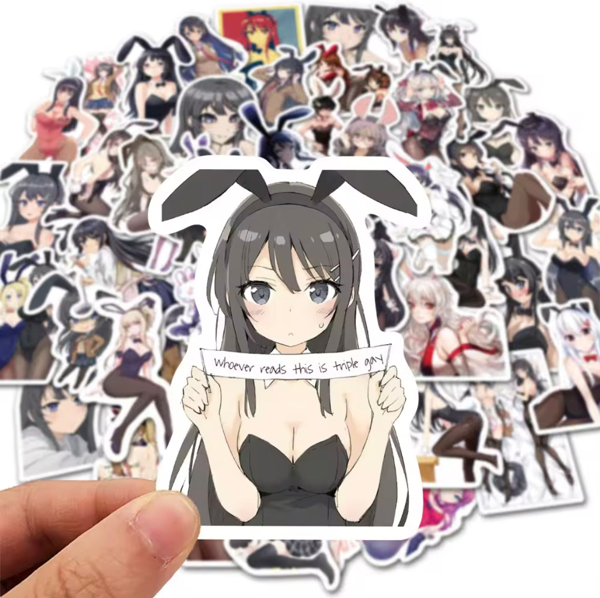 Rascal Does Not Dream Of Bunny Girl Senpai Anime 50 Piece Sticker Set