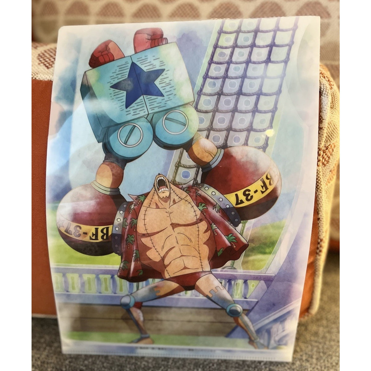 One Piece Nico Robin/Franky Anime Bandai Gashapon Clear File