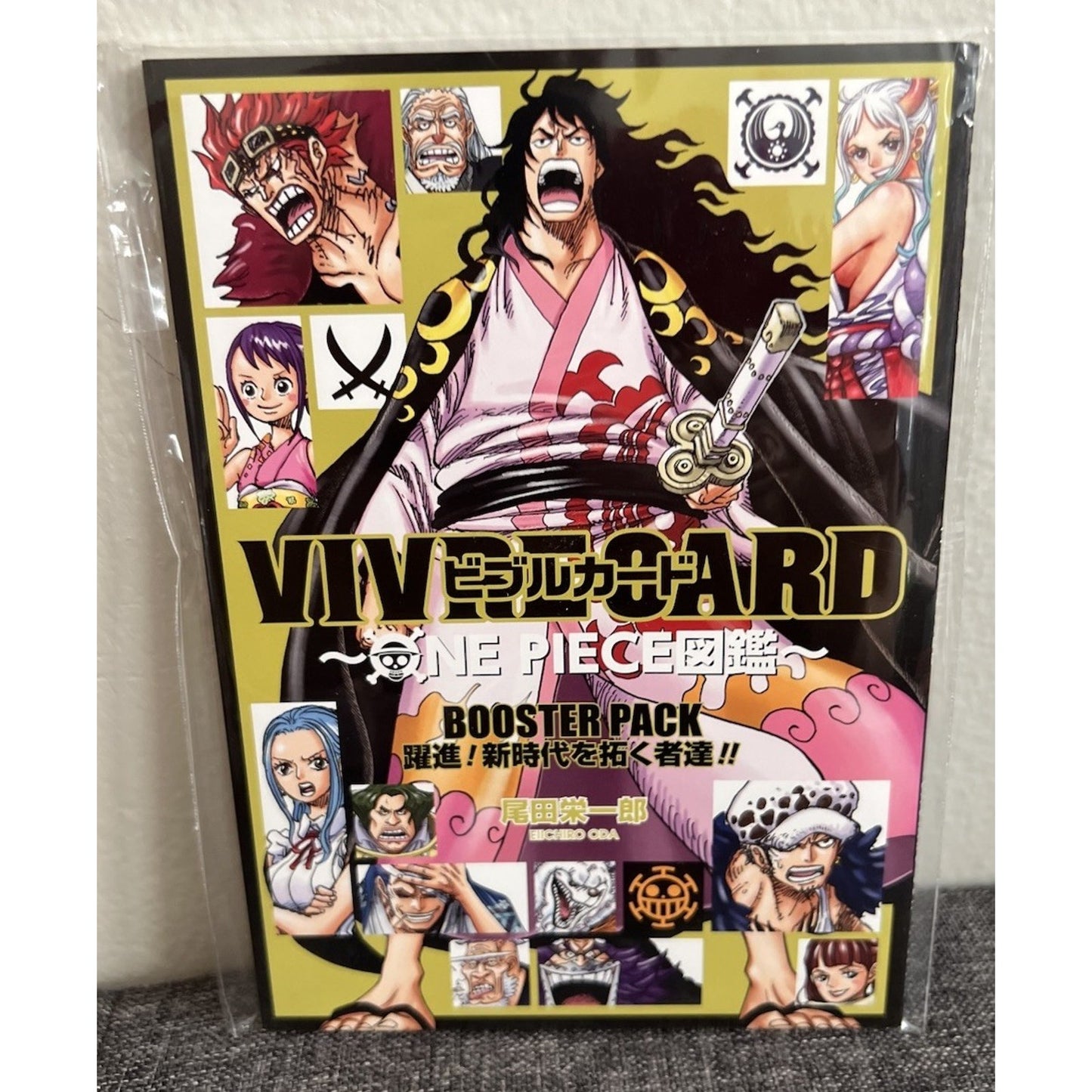 Vivre Card: One Piece Zukan Booster Pack Pictorial Book