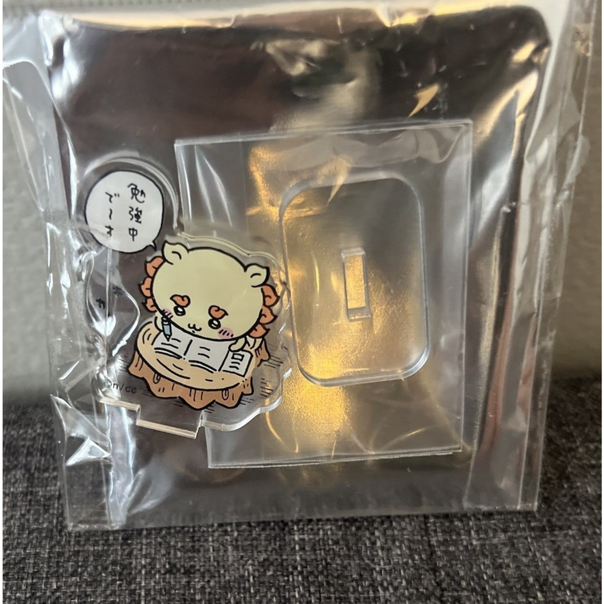 Chiikawa Shisa Studying Mini Acrylic Stand