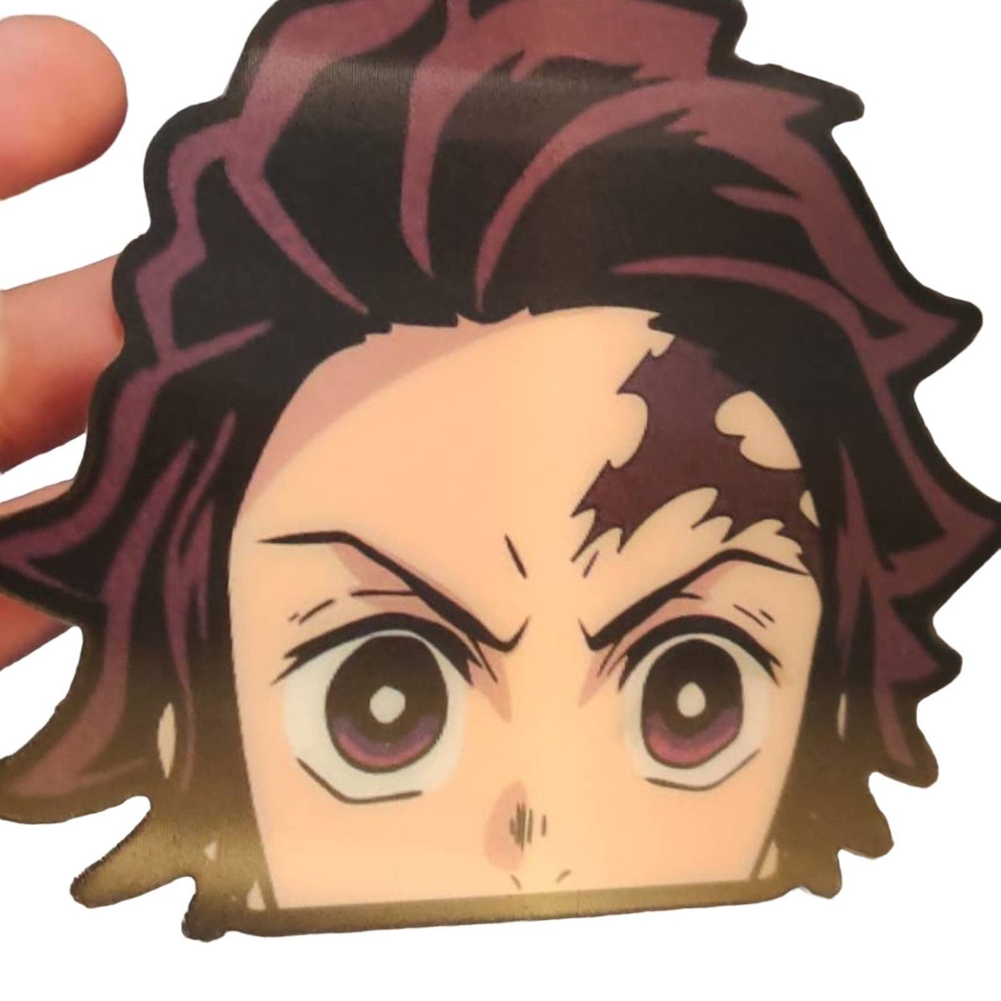 Demon Slayer Tanjiro Anime 3D/Motion Sticker