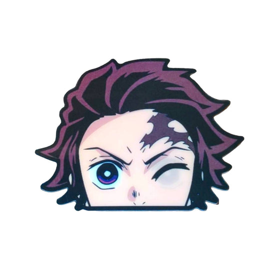 Demon Slayer Tanjiro Anime 3D/Motion Sticker