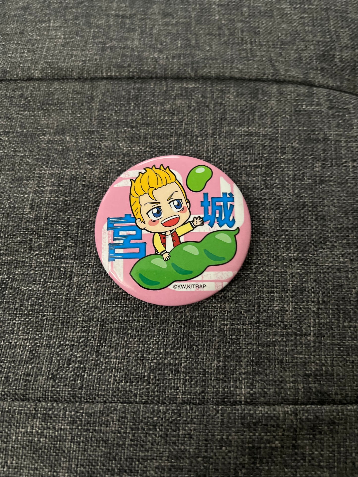 Tokyo Revengers Takemichi Anime Can Badge Pin