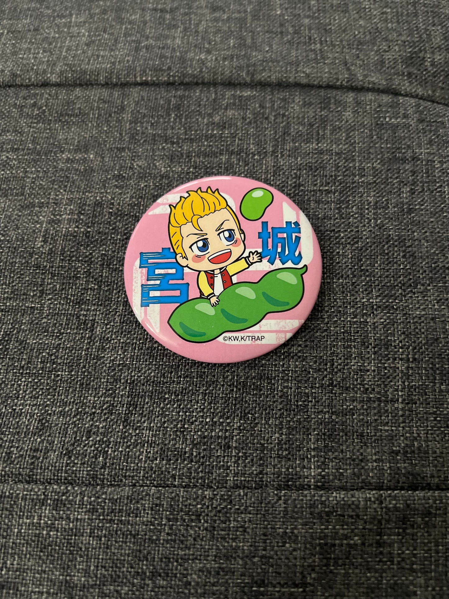 Tokyo Revengers Takemichi Anime Can Badge Pin